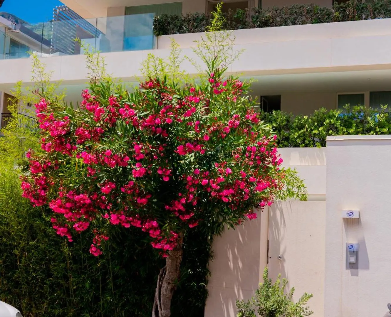Apartmán Appartamenti Paolone House Taormina Mare Mazzeo Itálie
